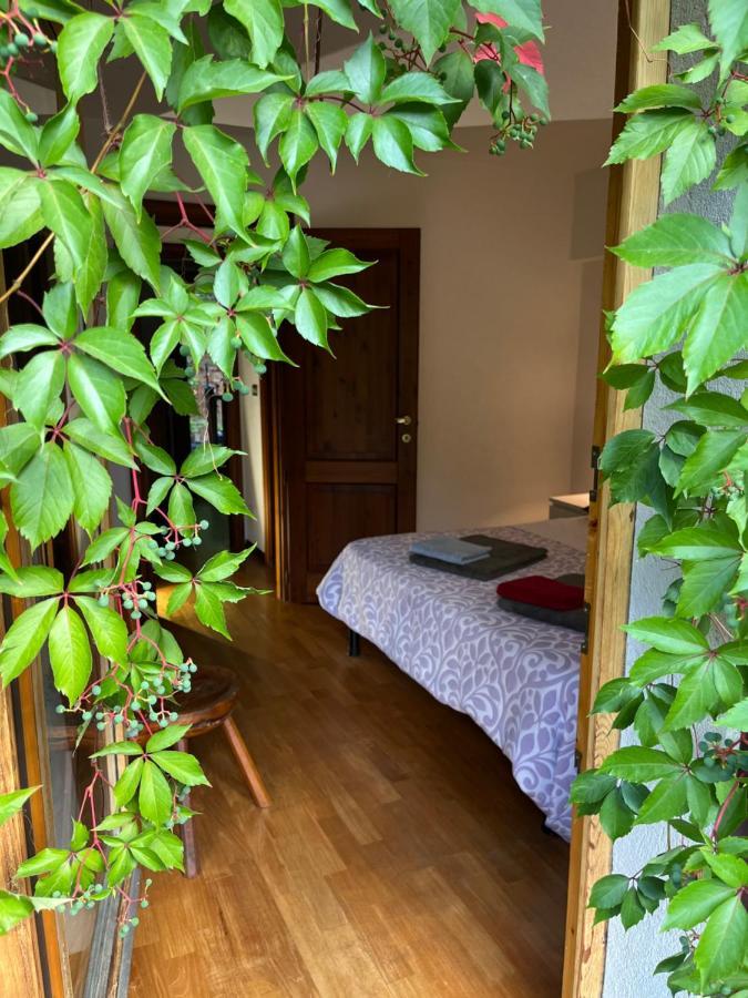 Chalet Blanc "Le Flocon" Courmayeur Exterior foto