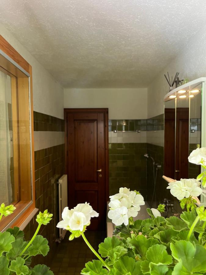 Chalet Blanc "Le Flocon" Courmayeur Exterior foto