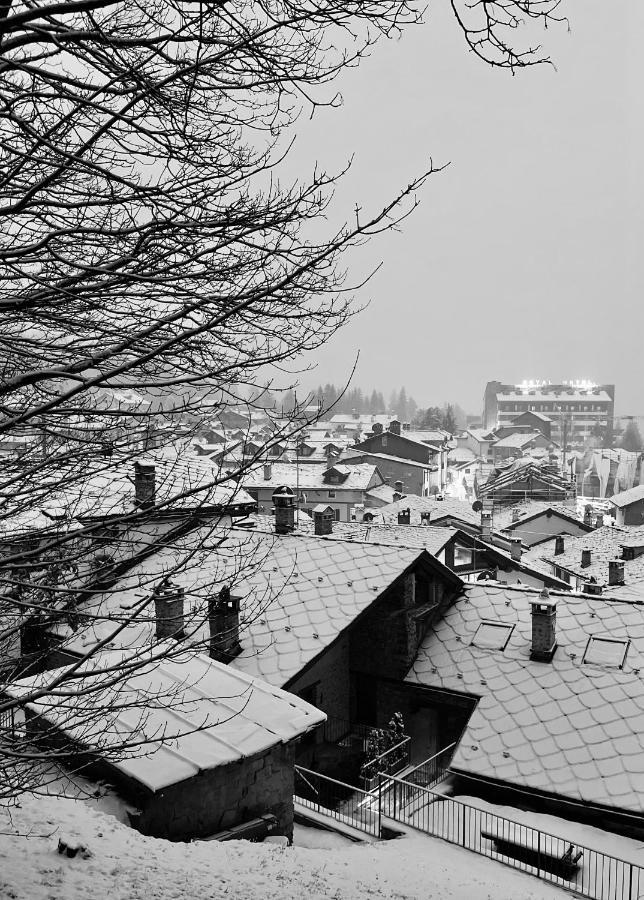 Chalet Blanc "Le Flocon" Courmayeur Exterior foto